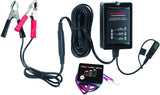 BatteryMINDer 1510: 12 Volt-1.5 Amp Battery Charger, Battery Maintainer, and Battery Desulfator ?C Designed for Cars, Trucks, Motorcycles, ATV, Boats, RV