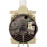 Pentair 340038 Stainless Steel SuperFlo Single Speed 115/230V 1HP Pool Pump