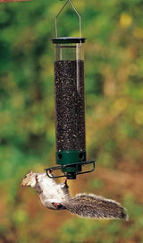 Droll Yankees Flipper Tube Bird Feeder, Green