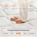 Queen Size 12 Inch Memory Foam Hybrid Mattress, Cooling Gel with Pocketed Coils for Pressure Relief, Motion Isolation, Medium Firm, 365-Night Trial, 10-Year Warranty, Mattress in a Box