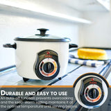 Pars Automatic Persian Rice Cooker – Tahdig Rice Maker Perfect Rice Crust, 10 Cup