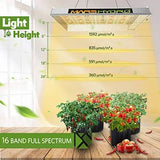 Mars Hydro TS 600W LED Grow Light 2×2 ft Sunlike Full Spectrum LED Grow Lamp