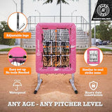 ALAGPRO? The Original 9 Hole Pitching Net with Strike Zone Pocket | Pitching Target for Baseball & Softball Pitchers