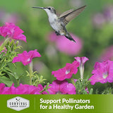 Survival Garden Seeds – Hummingbird Pollinator Mix Wildflower Seed for Planting – Packet with Instructions to Plant and Grow Flowering Plants in Your Home Vegetable Garden – Non-GMO Heirloom Varieties